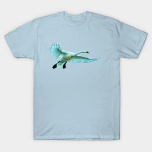 Bewick Swan about to land T-Shirt
